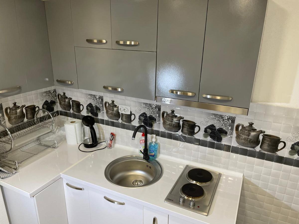 Bora Apartmani - Free Parking - City Center Vranje Esterno foto